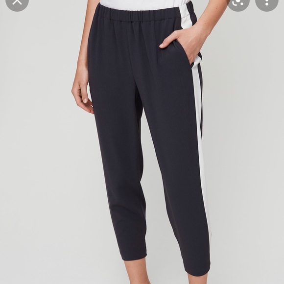 Aritzia Babaton Conan Pant - Picture 1 of 3